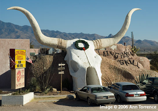 longhorn skull and horns cafe sign entrance Arizona Amado