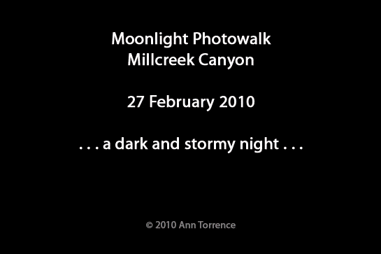 millcreek snowshoe photowalk