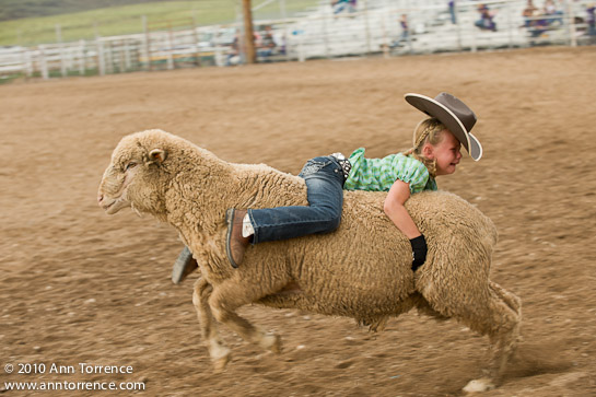 small fry rodeo mutton bustin