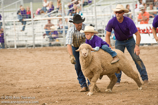 small fry rodeo mutton bustin