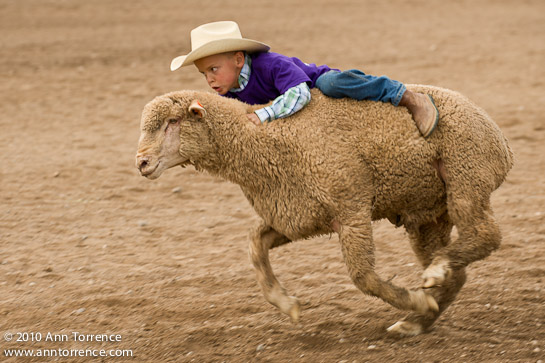 small fry rodeo mutton bustin