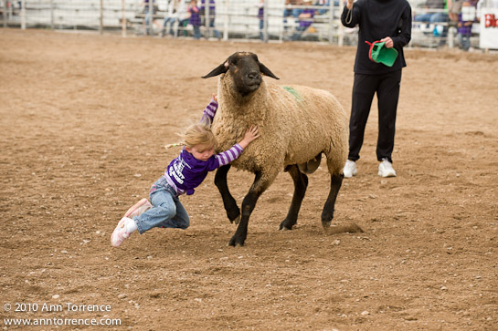 small fry rodeo mutton bustin