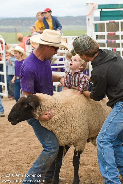 small fry rodeo mutton bustin