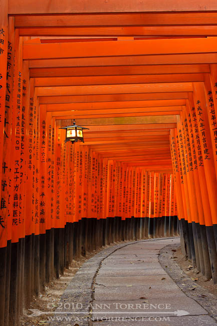 Fushimi Inari after dark Fushimi Inari after dark