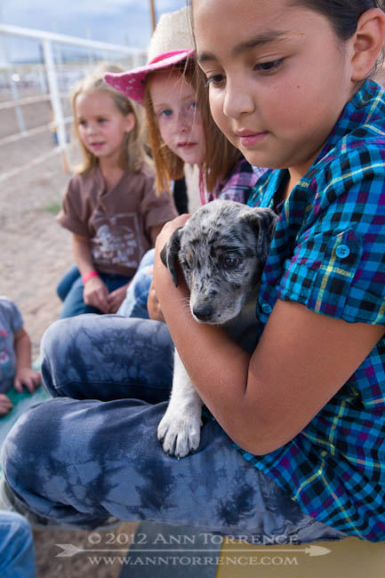 "Can I hold the puppy?" Loa, Utah